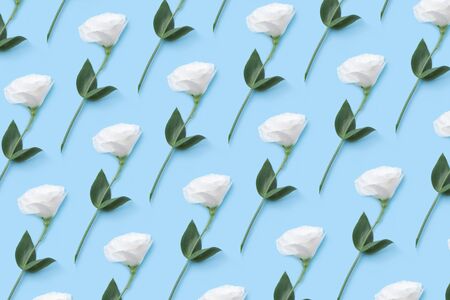 Floral collage pattern of a white eustoma bud on a light blue background.の写真素材