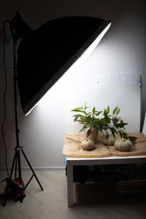 Real fresh gray pumpkin on paper background with fabric drapery. Backstage.の写真素材
