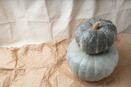 Real fresh gray pumpkin on paper background with fabric drapery.の写真素材