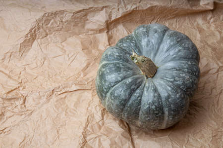 Real fresh gray pumpkin on paper background with fabric drapery.の写真素材