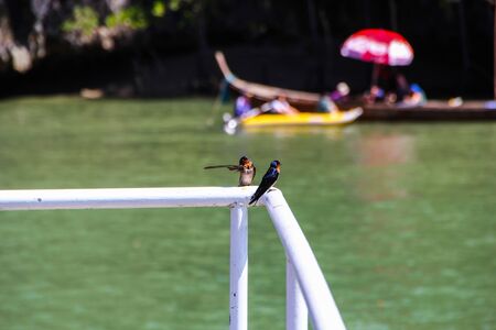 Landscapes of the beautiful Kingdom of Thailand, the purest Adaman Sea and islands.の写真素材