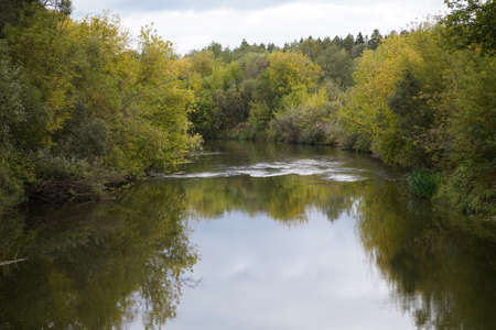Gorgeous autumn panorama of a forestの写真素材