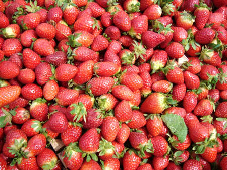 Strawberry on a marketの写真素材