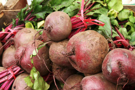 Beet /beetroot/の写真素材