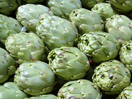Artichokesの写真素材