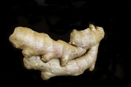 Fresh ripe root of the ginger in isolated over black