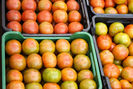 Tomatoes for sale in a marketの写真素材