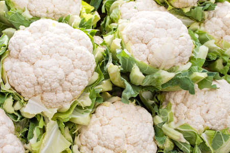 Fresh cauliflower for sale at a marketの写真素材