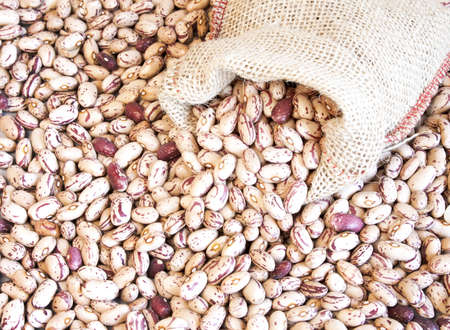 Pinto beans in small bag on pinto beans background