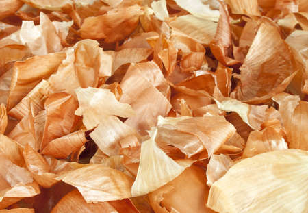 Yellow onion skin backgroundの写真素材
