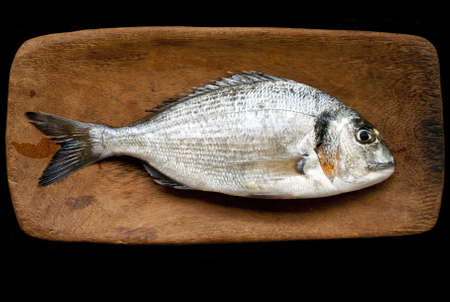Fresh gilt head (dorado) on wooden board isolated over black  backgroundの写真素材