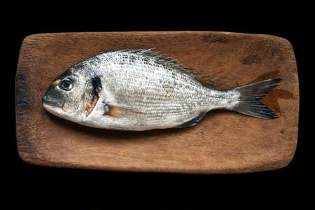 Fresh gilt head (dorado) on wooden board isolated over black  backgroundの写真素材