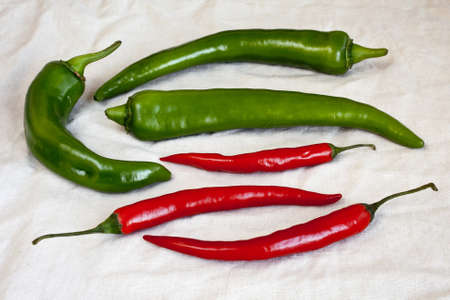 Green and red hot  pepper chili