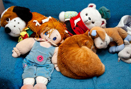 Sleeping red cat and his toysの写真素材