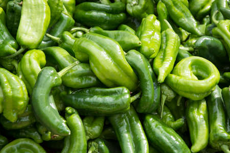 Green ripe sweet peppers close upの写真素材