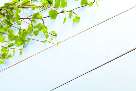 spring background - blue woodboardの写真素材