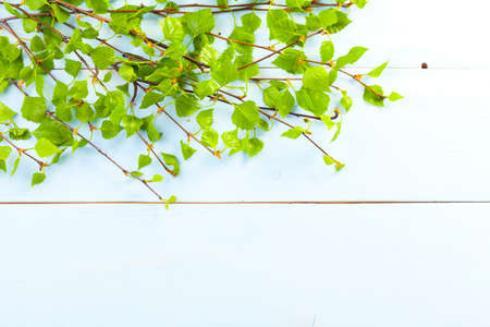 spring background - blue woodboardの写真素材