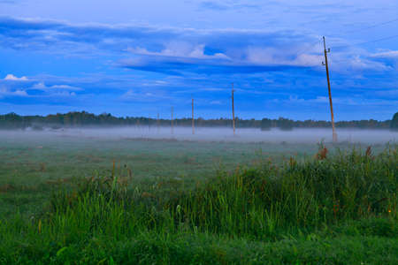 Fog in the morning lightの写真素材