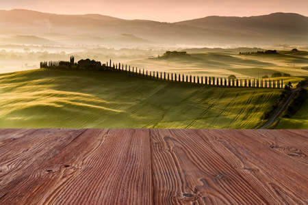 Tuscany road with cypress trees at sunst morning, Val d'Orcia, Italyの写真素材