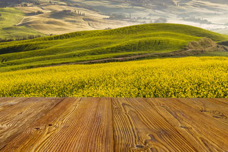 Beautiful and miraculous colors of green spring landscape of Tuscany, Italy.の写真素材