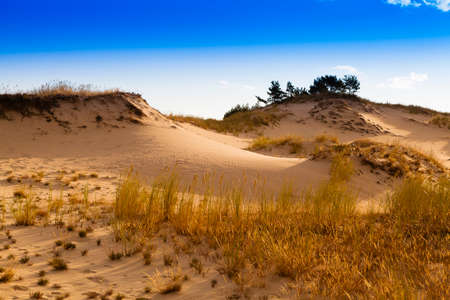 Sand dunes on the Baltic coast in the morningの写真素材