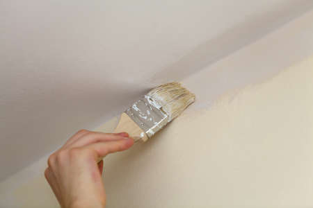 Brush weld the walls with the ceiling white paint.