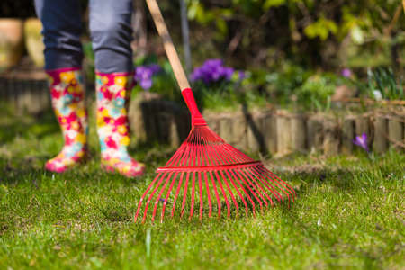 Garden cleaning. Ripening leaves in the spring. Red rakes to the leaves.の写真素材