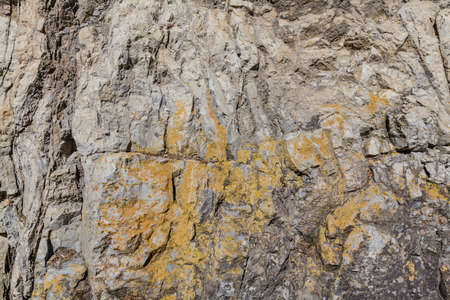 Rock background. Rock i Pieniny, Poland. close up. 