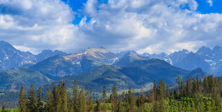View of Tatra mountains in spring.