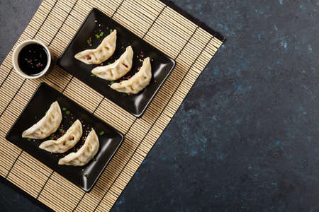 Original Japanese dumplings Gyoza with chicken and vegetables. Top view. Flat lay. Dark blue backgrund.の写真素材