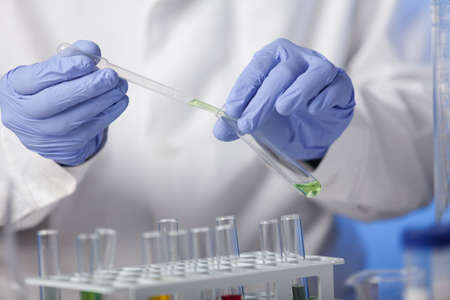 Lab. The lab technician in a white coat and rubber gloves checks the chemical composition of the...