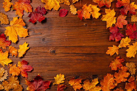 Wooden background. Arranged autumn leaves and pumpkins. Top view.