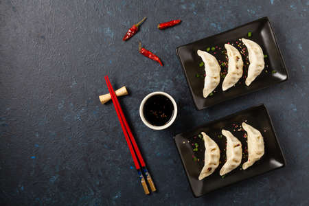 Original Japanese dumplings Gyoza with chicken and vegetables. Top view. Flat lay. Dark blue backgrund.の写真素材