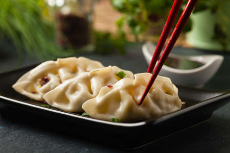 Original Japanese dumplings Gyoza with chicken and vegetables. Front view. Dark blue backgrund.の写真素材