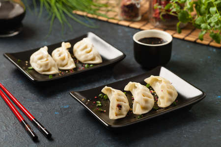 Original Japanese dumplings Gyoza with chicken and vegetables. Front view. Dark blue backgrund.の写真素材