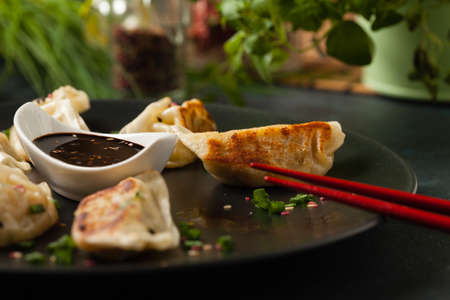 Original Japanese dumplings Gyoza with chicken and vegetables. Front view. Dark blue backgrund.の写真素材