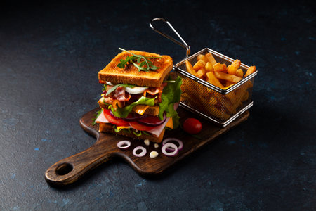 Sandwich of toasted bread with cheese, bacon, egg and vegetables. Dark mood. Black background.の写真素材