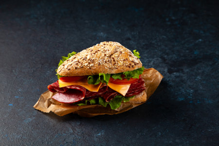 Sandwich with salami and cheese in a multi-grain roll. Dark mood. Black background.の写真素材