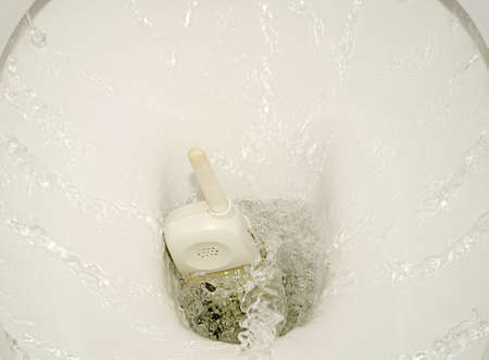 Telephone Sinks In Toilet. The Effects Of Financial Crisis.