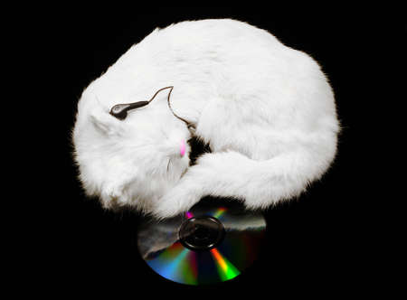 White Cat Sleeping On CD And Listening To Music.の写真素材