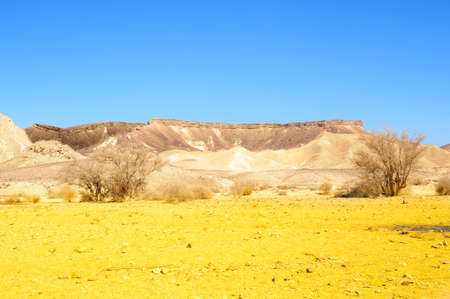 Sand Hill In The Negev Desert, Israel.の写真素材