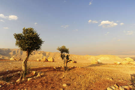 Landscape Of Judea Mountains Near Dead Sea. Landscape Of Judea Mountains Near Dead Sea.