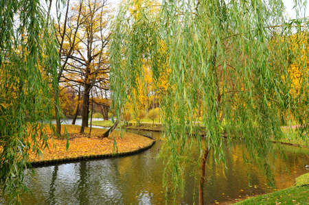 The Pond With Wild Ducks In Autumn Park