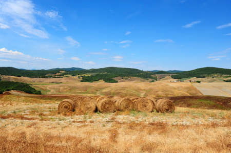 Tuscany Landscape With Many Hay Bales の写真素材