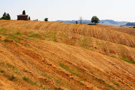 Farmhouse Surrounded By Sloping Meadows Of Tuscanyの写真素材
