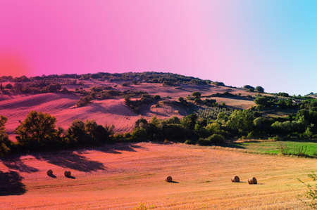 Tuscany Landscape With Many Hay Bales, Sunsetの写真素材