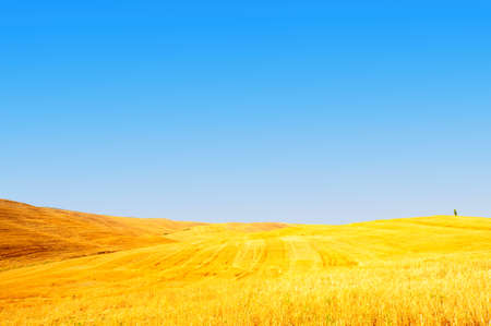 Wavy Hills of Tuscany Under Blue Skyの写真素材