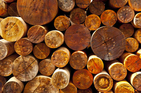 Logging in Southern Bavaria, Germany