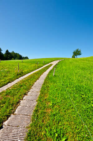Path between  Fields in Bavaria, Germanyの写真素材