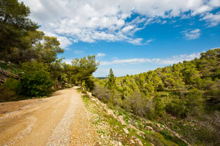 Dirt Road along Canyon in Israelの写真素材